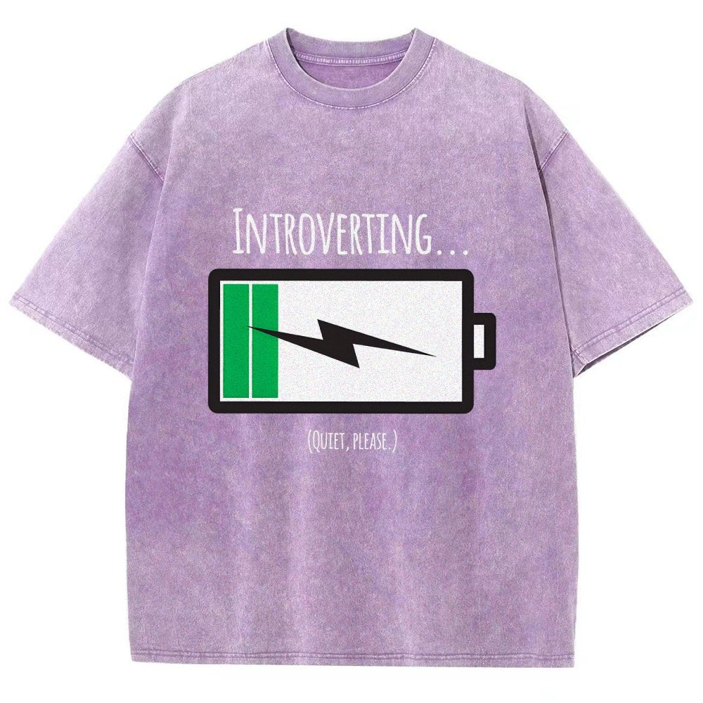 Introverting Vintage Distressed T-shirt