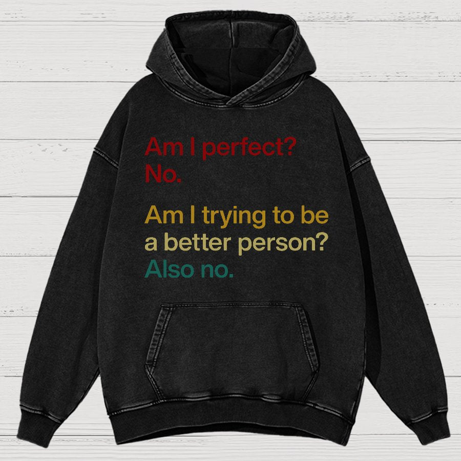 Am I Perfect ？No.Vintage Distressed Hoodie