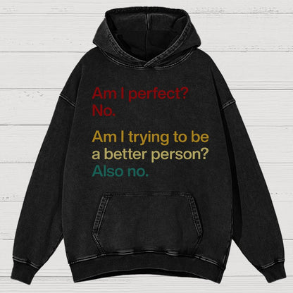 Am I Perfect ？No.Vintage Distressed Hoodie