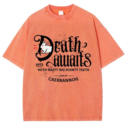 Death Awaits Vintage Distressed T-shirt