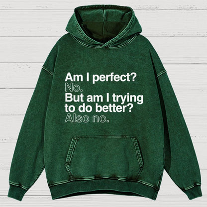 Am I Perfect No Vintage Distressed Hoodie