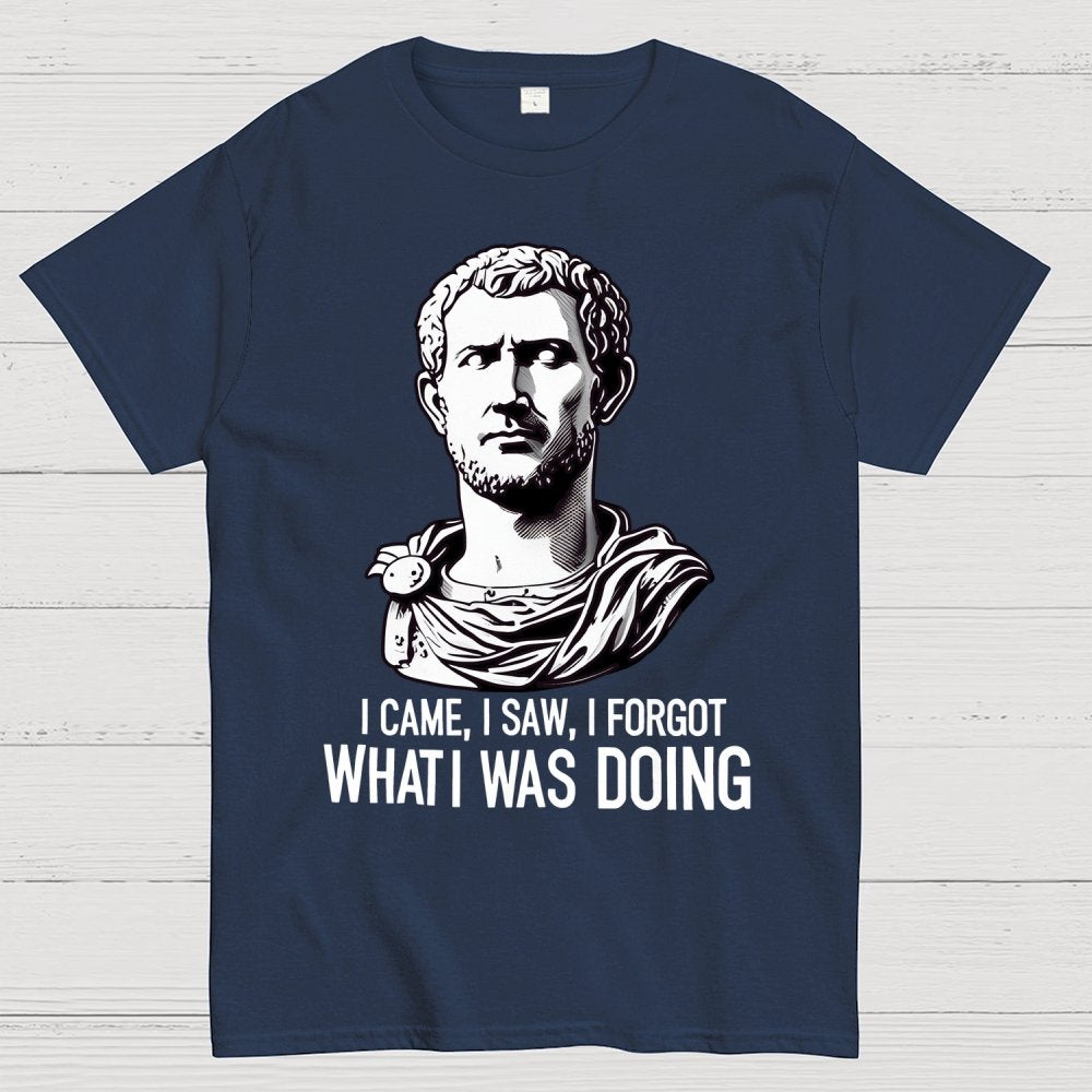 I Came  I saw  I forgot What I was Doing Geek T-Shirt