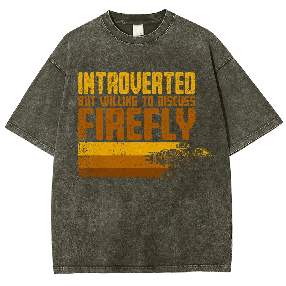 Introverted Wanderer Vintage Distressed T-shirt