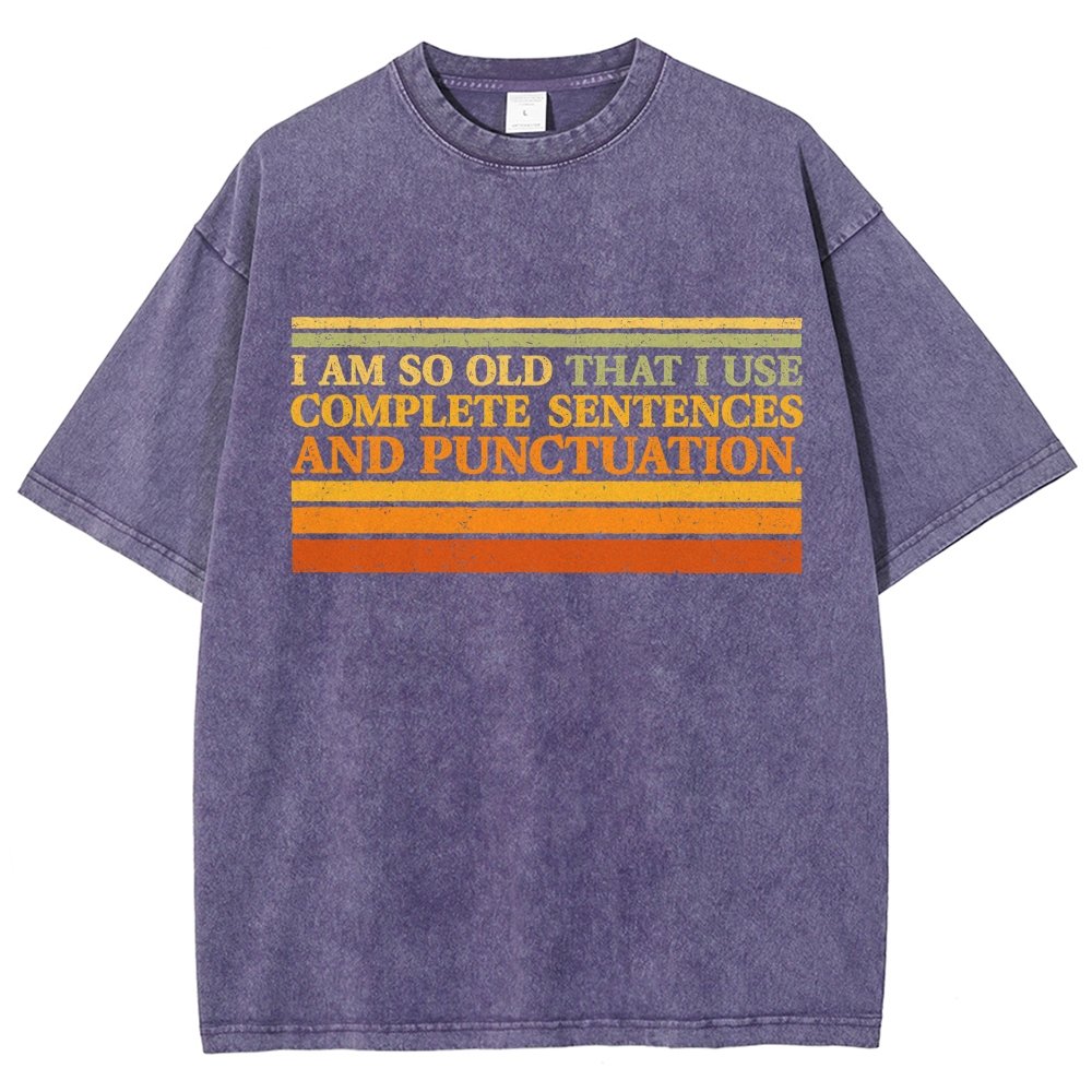 Complete Sentences and Punctuation Vintage Distressed T-shirt