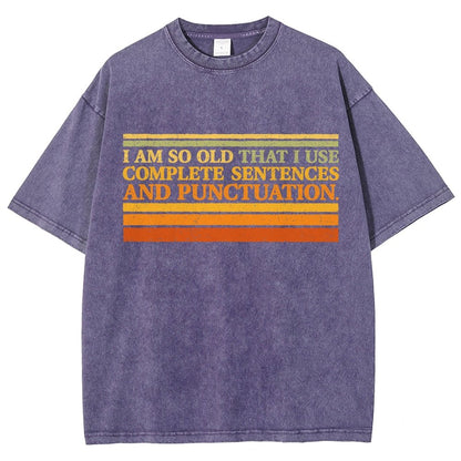 Complete Sentences and Punctuation Vintage Distressed T-shirt