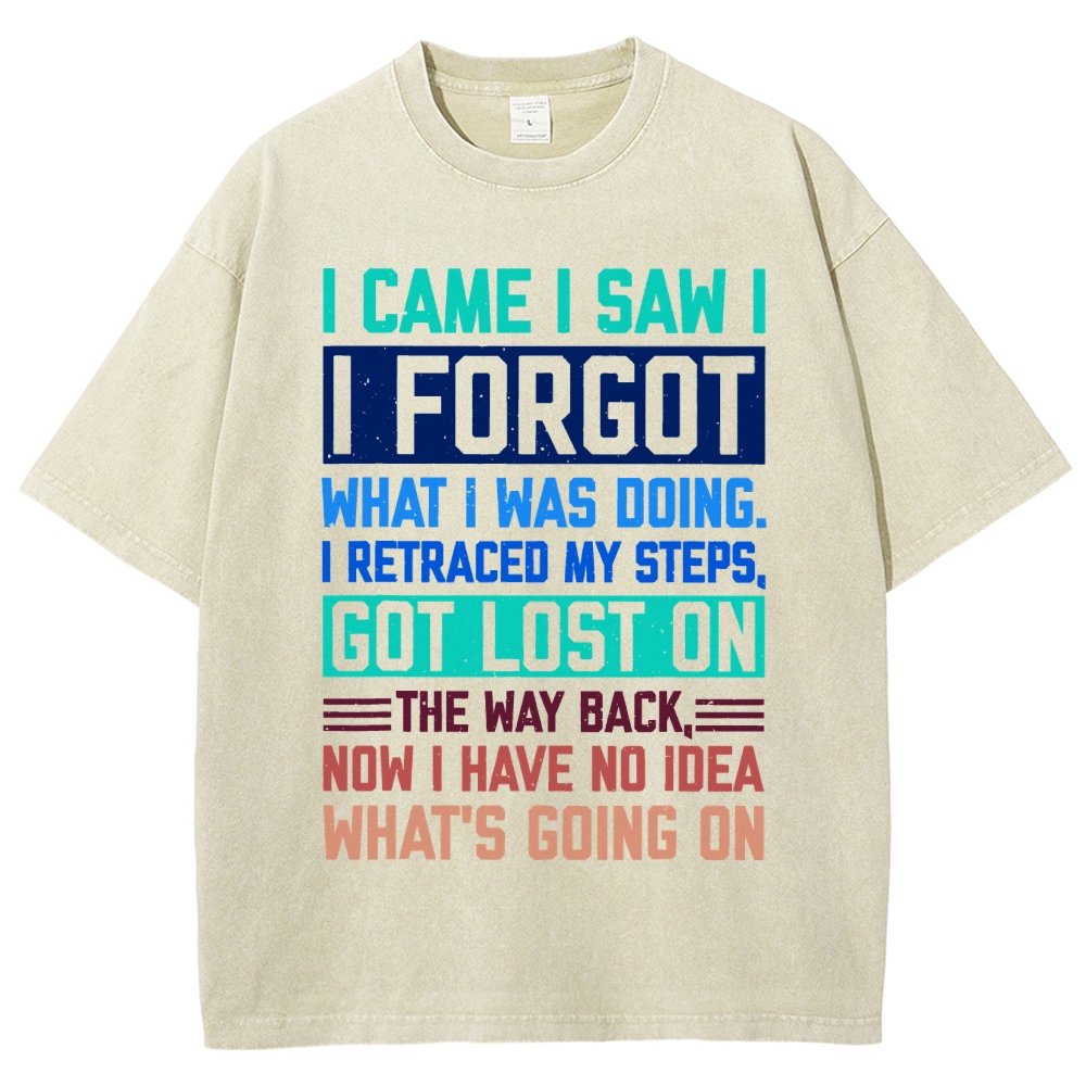 I Came I Saw I Forgot What I Was Doing Sarcastic Vintage Distressed T-shirt