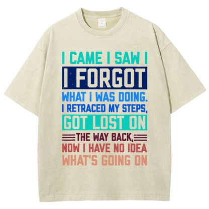 I Came I Saw I Forgot What I Was Doing Sarcastic Vintage Distressed T-shirt