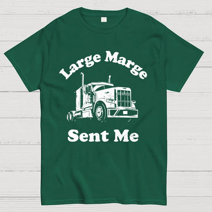 Mysterious Lady Sent Me Geek T-Shirt