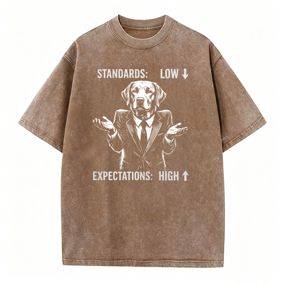 Standards Low Expectations High Funny Sarcastic T-Shirt