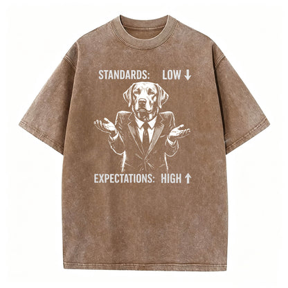 Standards Low Expectations High Funny Sarcastic T-Shirt