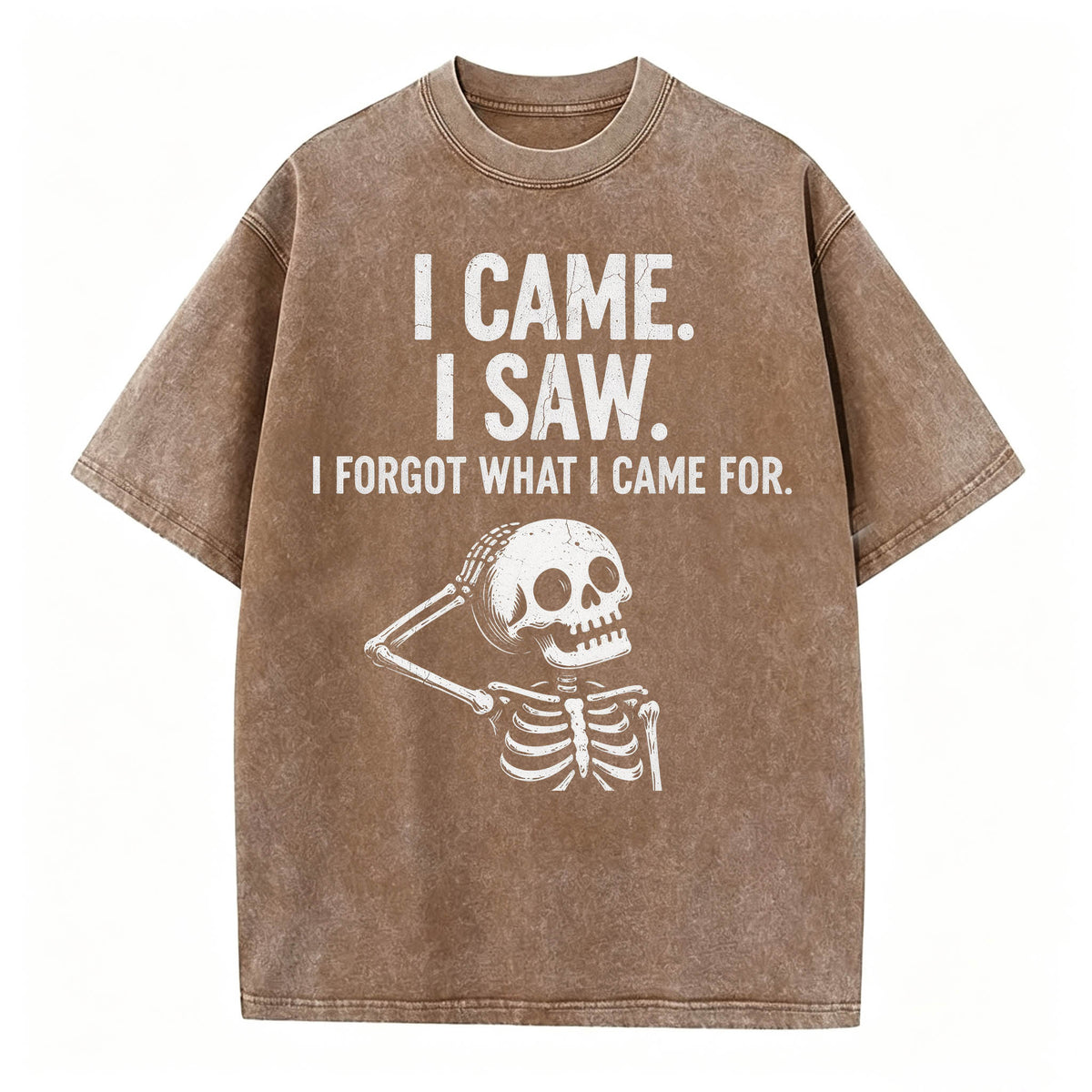 I Came. I Saw. I Forgot What I Came For. Funny Dark Humor T-Shirt