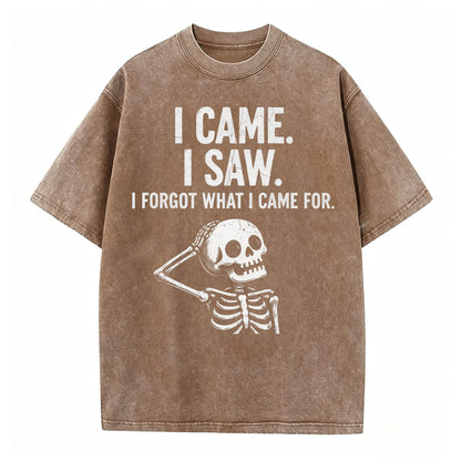 I Came. I Saw. I Forgot What I Came For. Funny Dark Humor T-Shirt