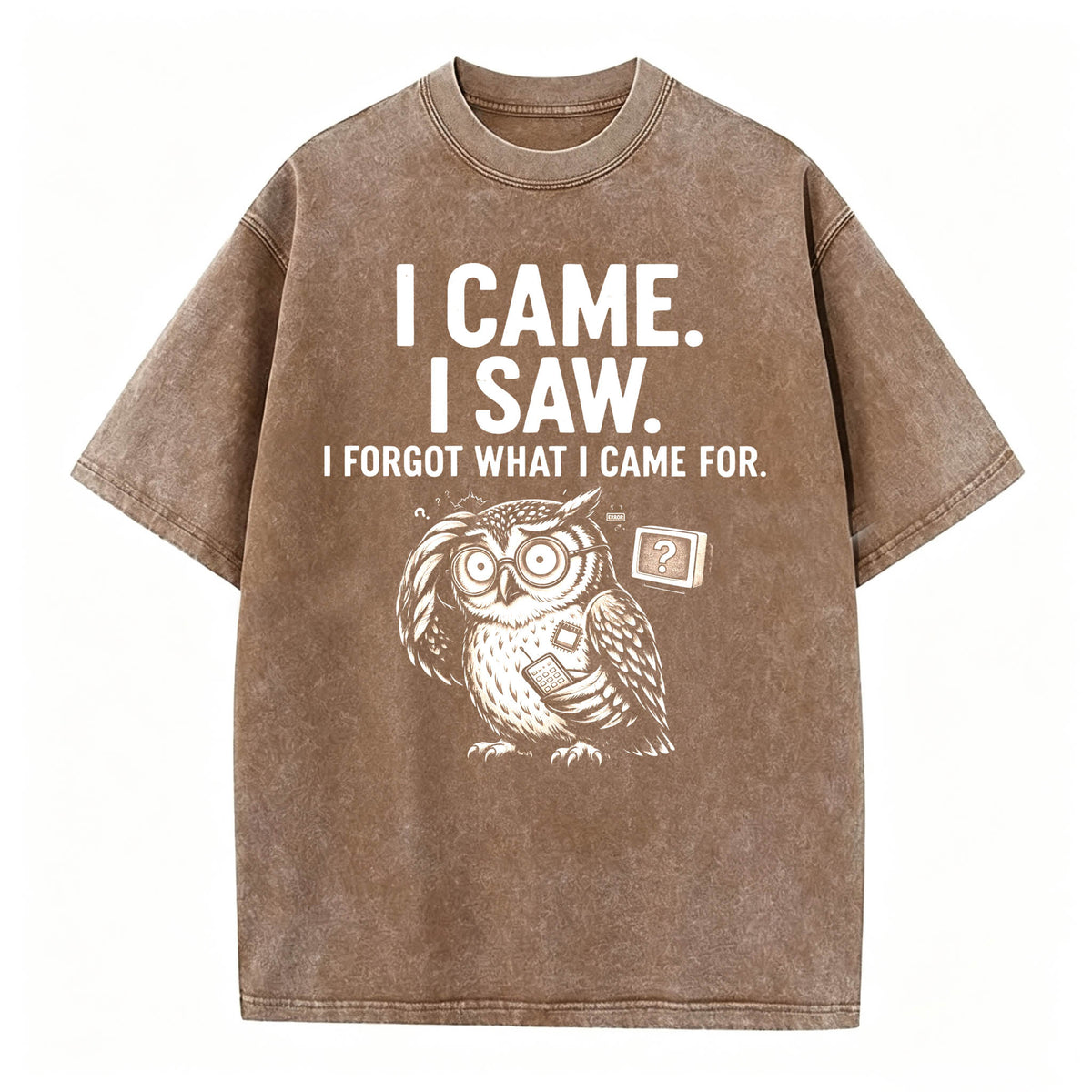 I Came. I Saw. I Forgot What I Came For. Funny Owl Vintage T-Shirt