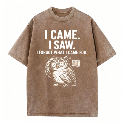 I Came. I Saw. I Forgot What I Came For. Funny Owl Vintage T-Shirt
