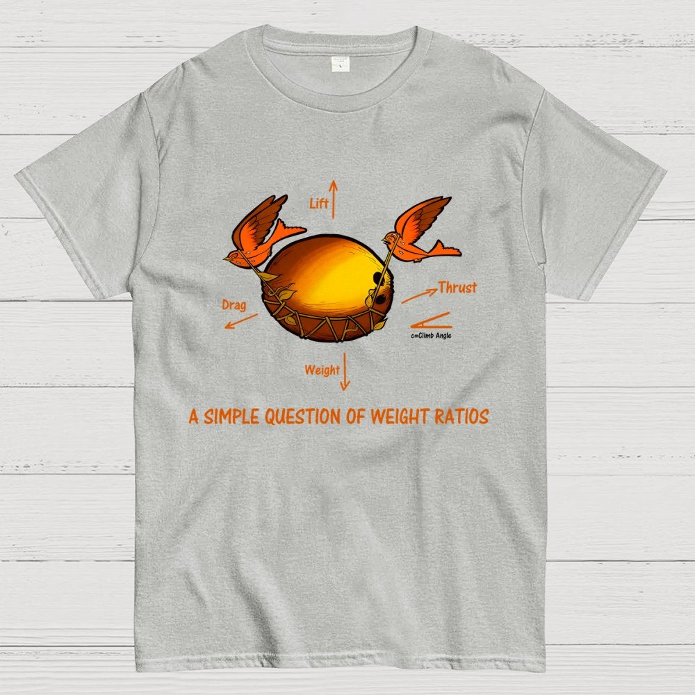 A Simple Question Of Weight Ratios Geek T-Shirt