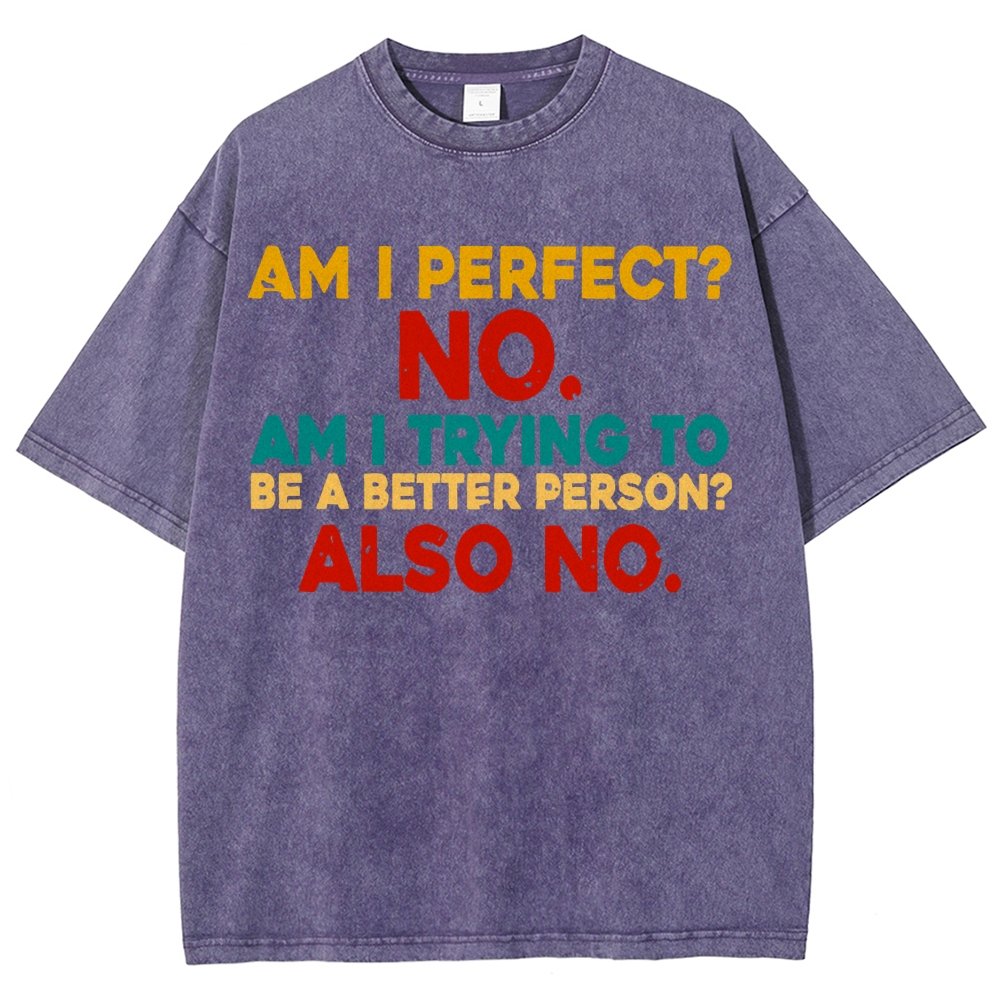 Am I Perfect No Am I Trying To Be A Better Person Also No Funny Quote Vintage Distressed T-shirt