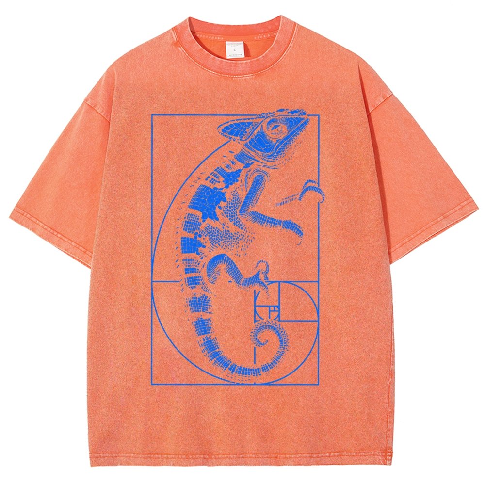 Chameleon Ratio Vintage Distressed T-shirt