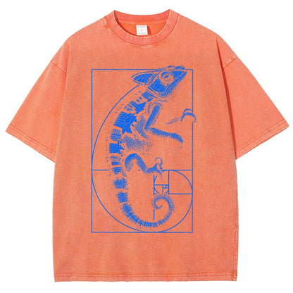 Chameleon Ratio Vintage Distressed T-shirt