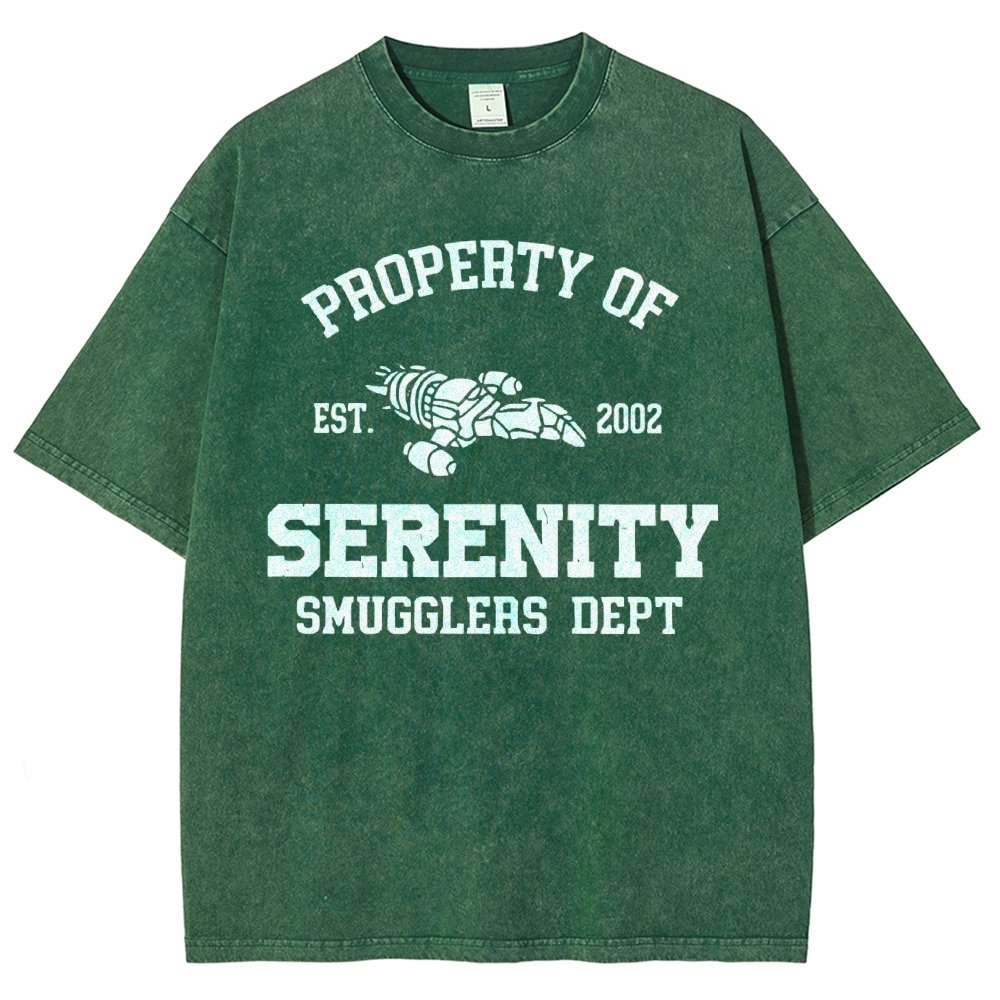 Property of Starlight Vintage Distressed T-shirt