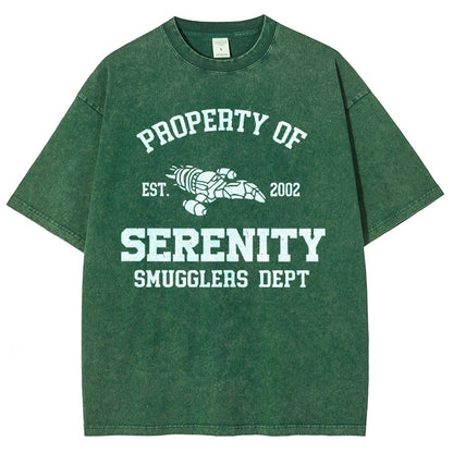 Property of Starlight Vintage Distressed T-shirt