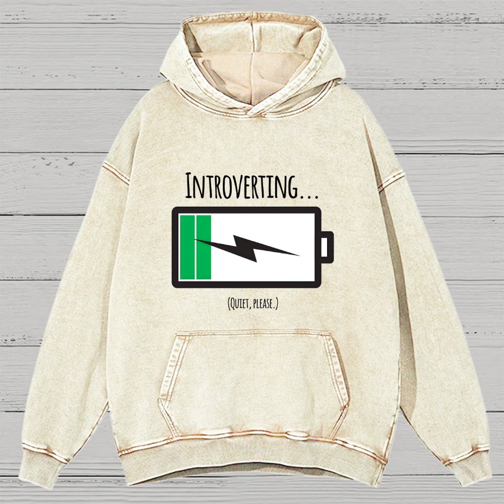 Introverting Vintage Distressed Hoodie