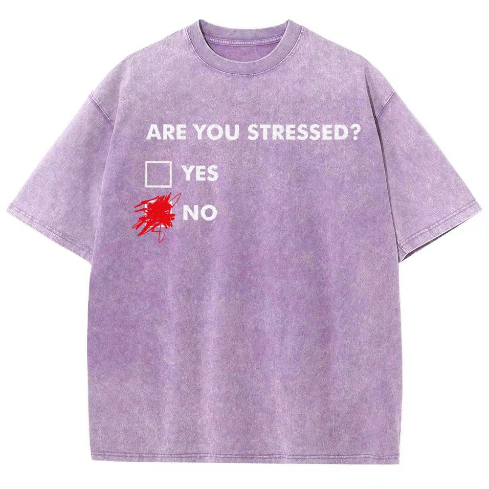 Fuuny Word Are You Stressed No Vintage Distressed T-shirt