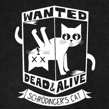 Schrödinger's Cat Mathe, Physics Vintage Distressed Hoodie