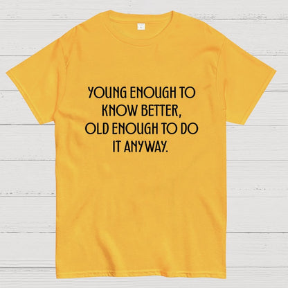 Young Enough To Know Better Old Enough To Do It Anyway Geek T-Shirt