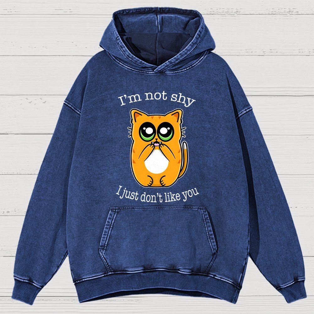 Not Shy Vintage Distressed Hoodie