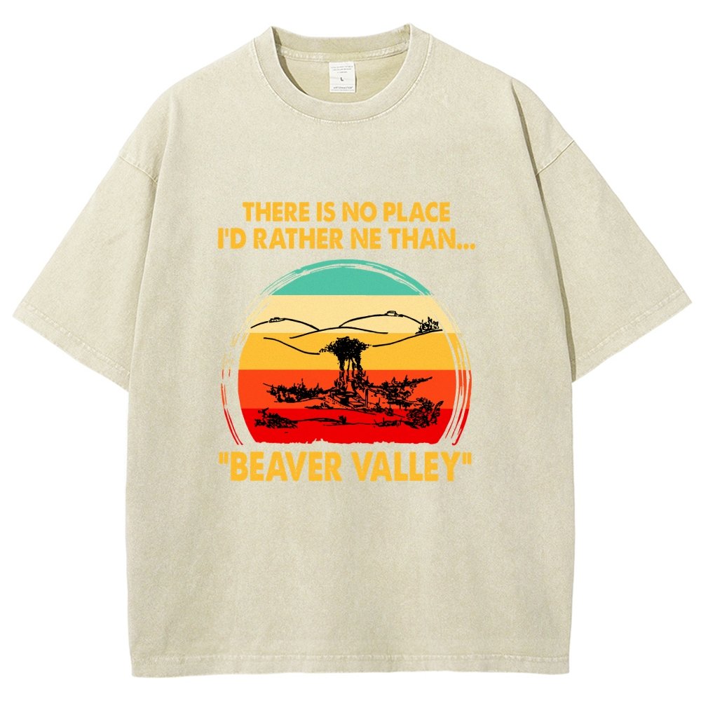 Beaver Valley Vintage Distressed T-shirt