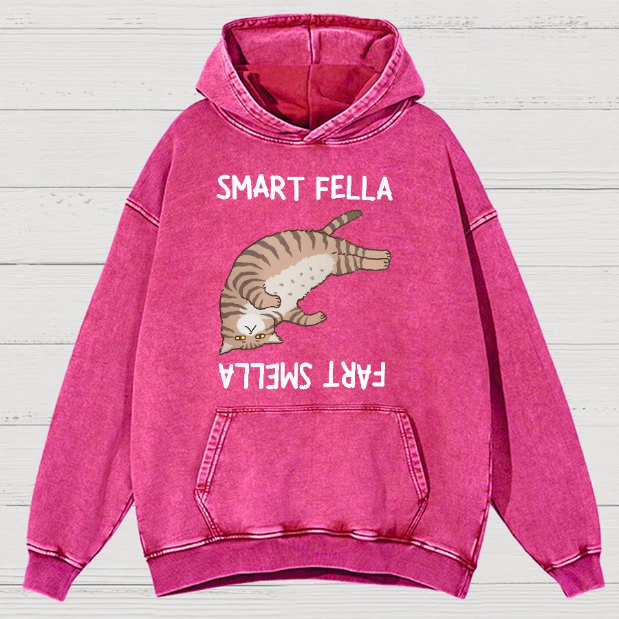 Smart Fella Fart Smella  Funny Cat Pun Vintage Distressed Hoodie