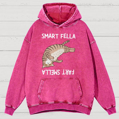 Smart Fella Fart Smella  Funny Cat Pun Vintage Distressed Hoodie