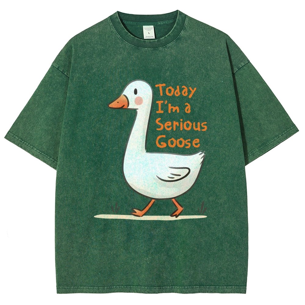 Today I’m A Serious Goose Vintage Distressed T-shirt