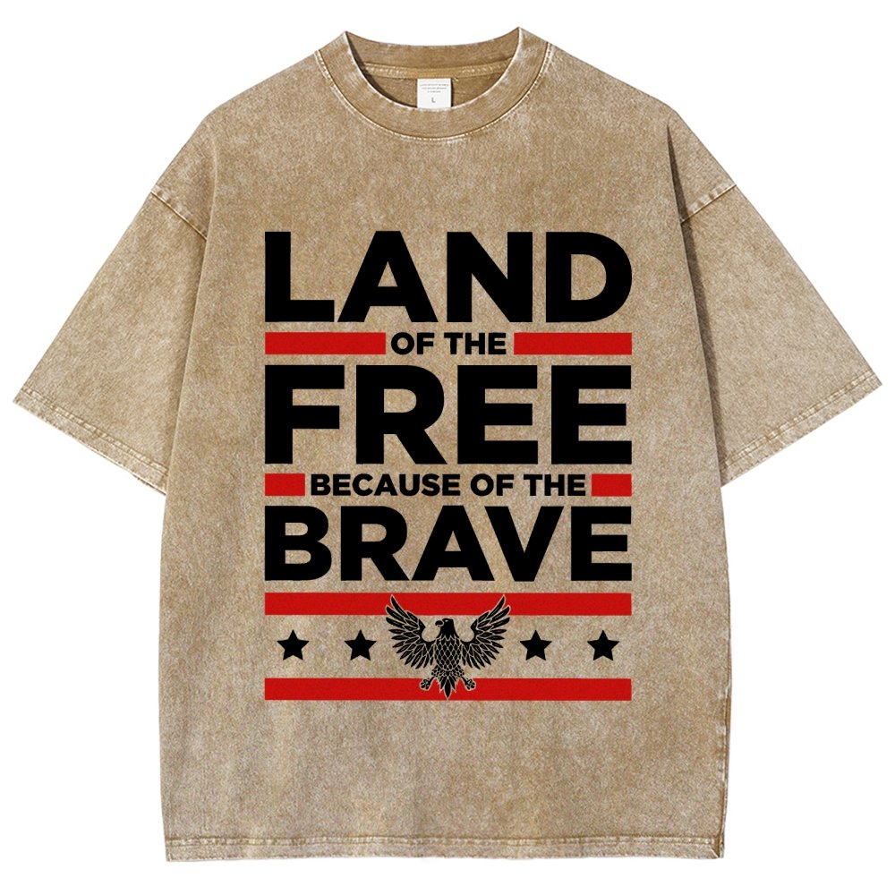 Because of the Brave Vintage Distressed T-shirt