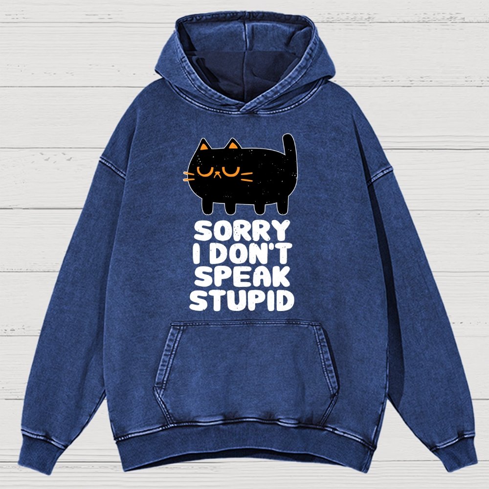 I Don't Speak Stupid Vintage Distressed Hoodie