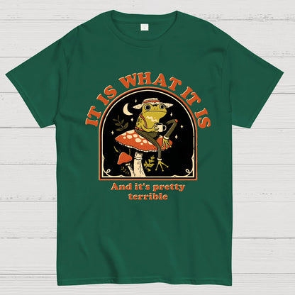 It Is What It Is And It's Pretty Terrible Geek T-Shirt