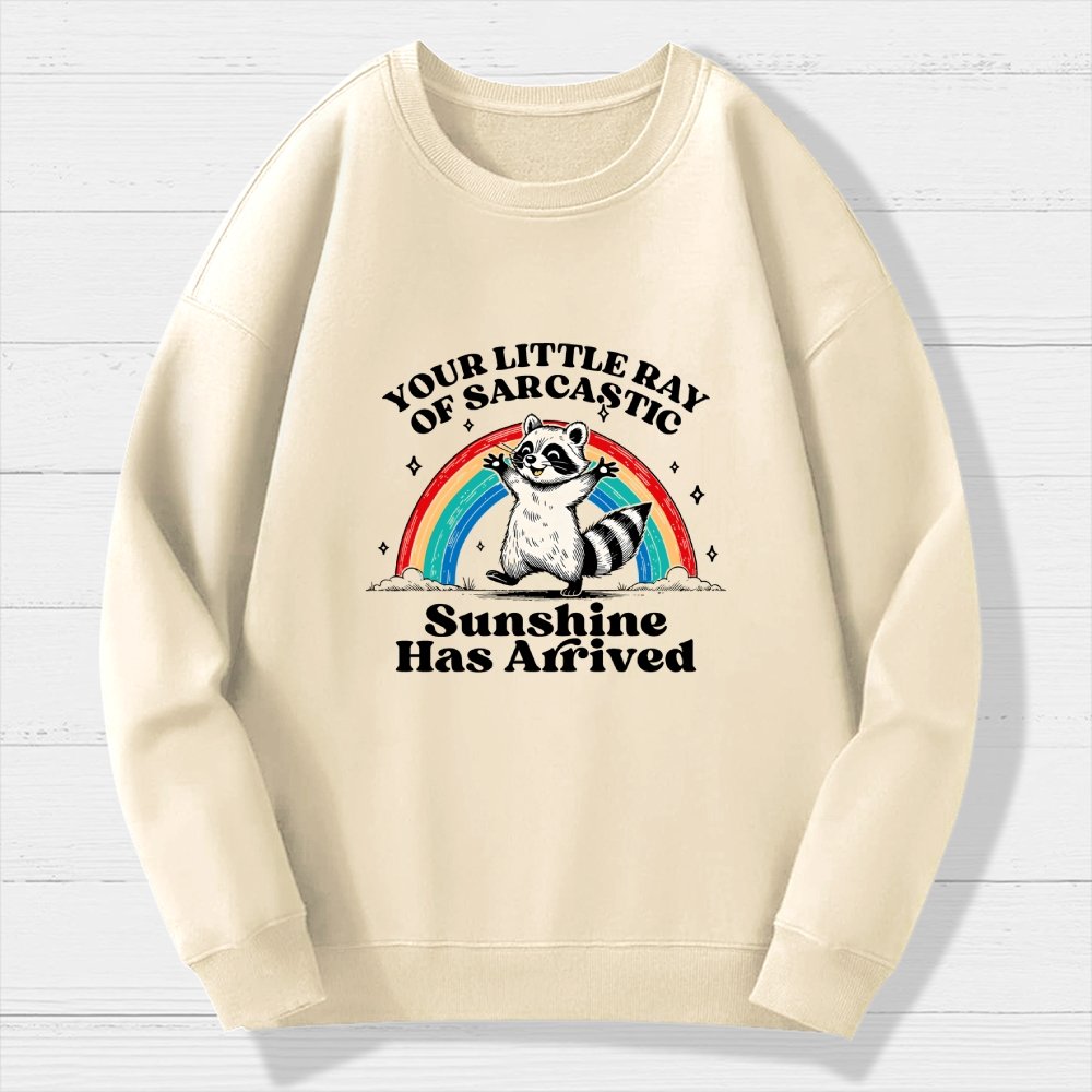 Your Little Ray of Sarcastic Sunshine Has Arrived Geek Cotton Sweatshirt