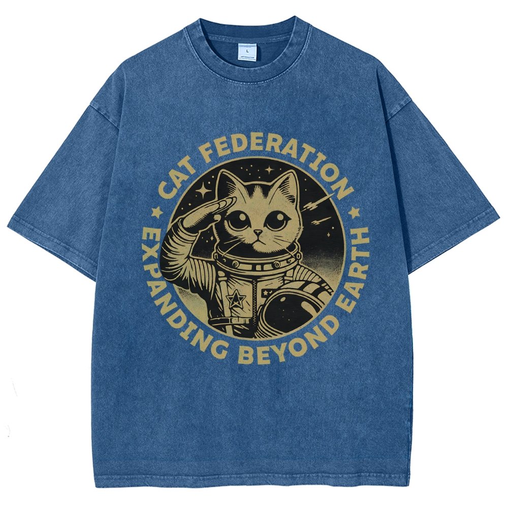 Universal Domination Vintage Distressed T-shirt