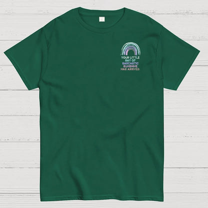 Your Little Ray of Sarcastic Sunshine Has Arrived Front And Back Printing Geek T-Shirt