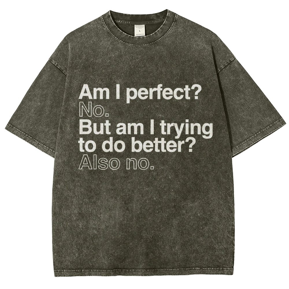 Am I Perfect? No. Am I Trying To Be Better Person Vintage Distressed T-shirt