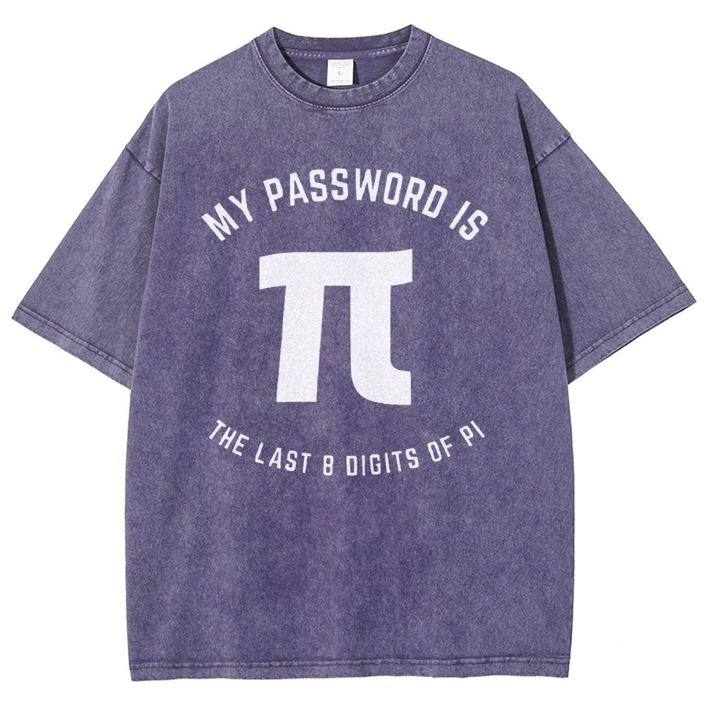 My Password Is The Last 8 Digits Of Pi Nerd Vintage Distressed T-shirt