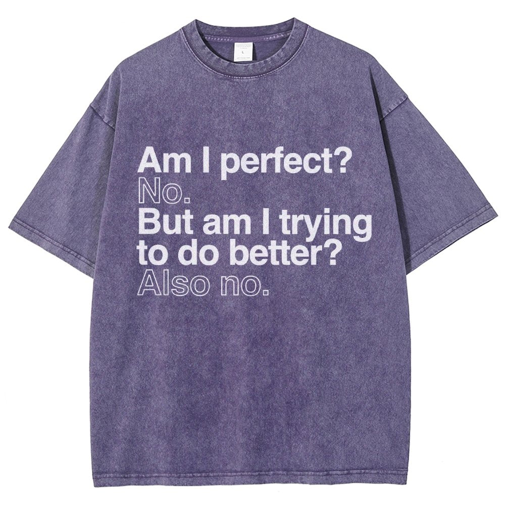 Am I Perfect? No. Am I Trying To Be Better Person Vintage Distressed T-shirt