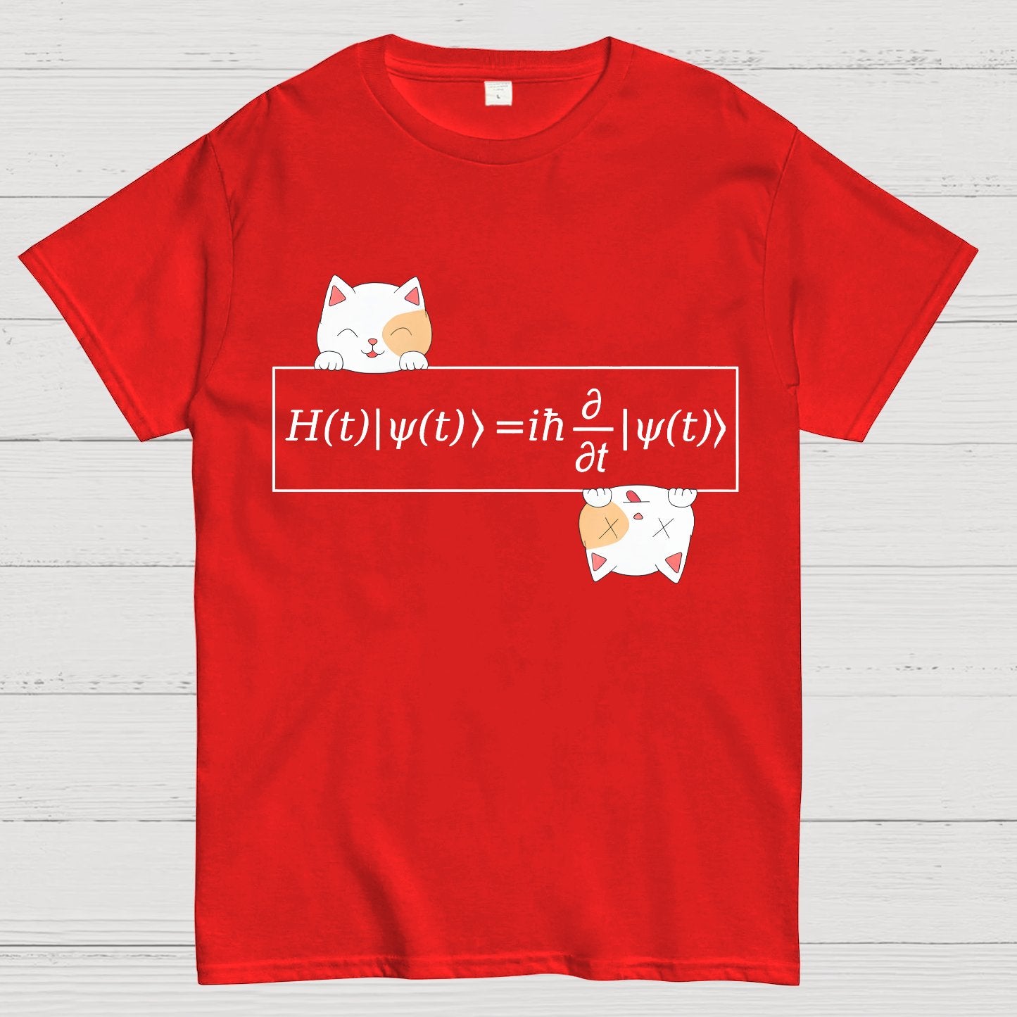 Schrödinger equation Geeky T-Shirt