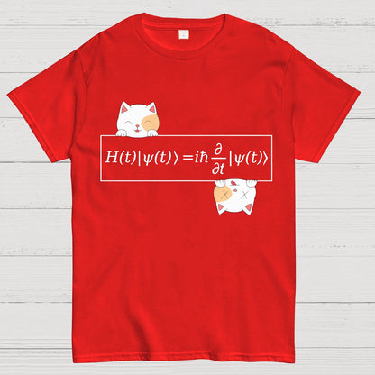 Schrödinger equation Geeky T-Shirt