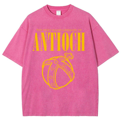 The Holy Hand Grenade of an Ancient Place Vintage Distressed T-shirt