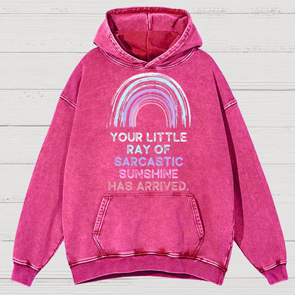 Your Little Ray of Sarcastic Sunshine Has Arrived Vintage Distressed Hoodie