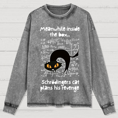 Schrodingers Cat Revenge Washed Long Sleeve Tee