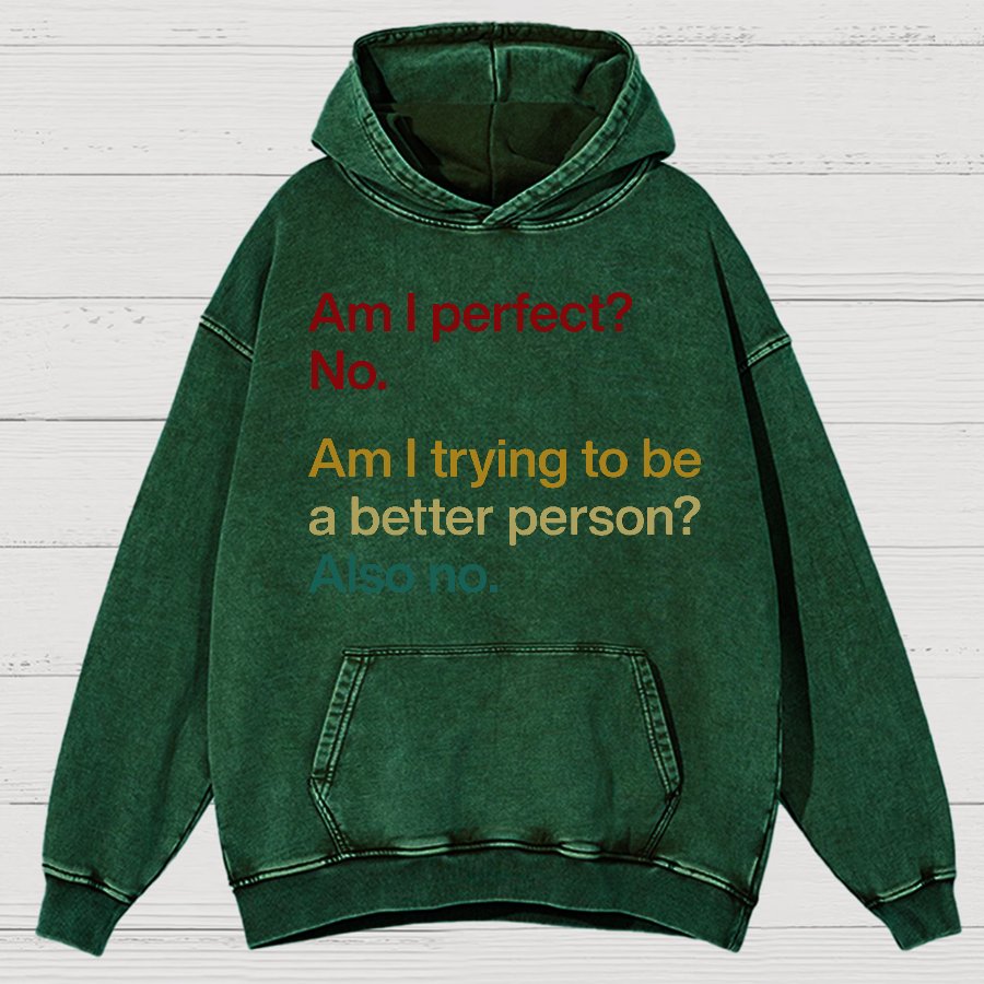 Am I Perfect ？No.Vintage Distressed Hoodie