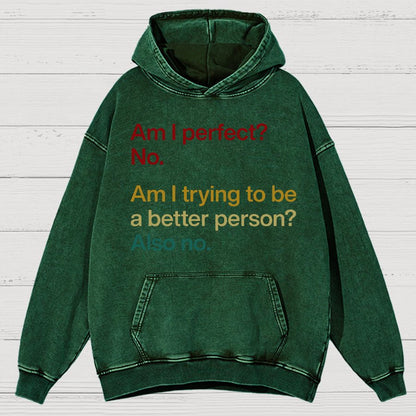 Am I Perfect ？No.Vintage Distressed Hoodie