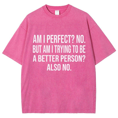 Am I Perfect No But Am I Trying To Be A Better Person Also No Vintage Distressed T-shirt